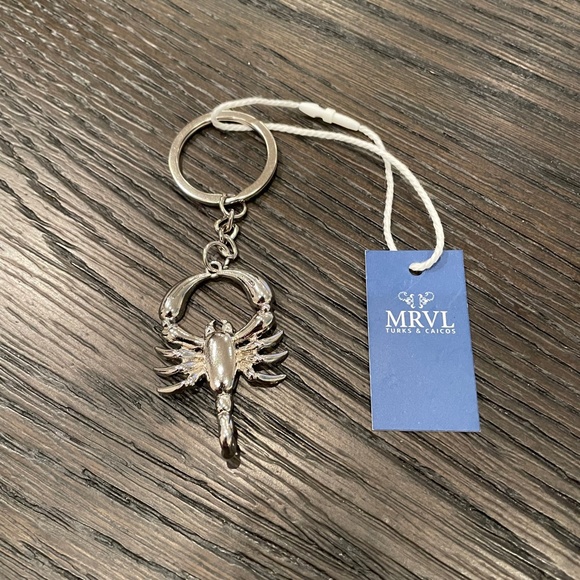 Silver Scorpion Keychain - Picture 1 of 5